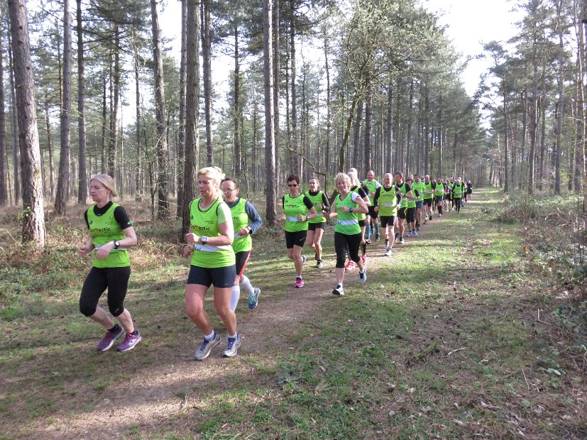 GielsBosloop 2015 - 033